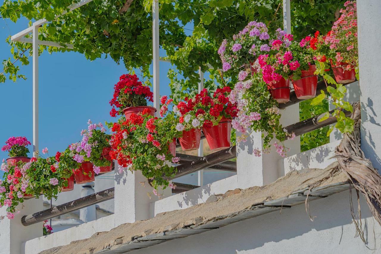 Apartamentos Rurales Las Chimeneas カピレイラ エクステリア 写真
